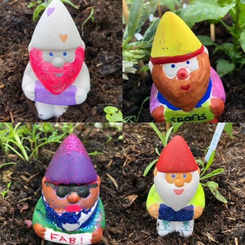 Photo of MYZ's painted gnomes