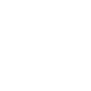 Icon showing an outline of a house in white